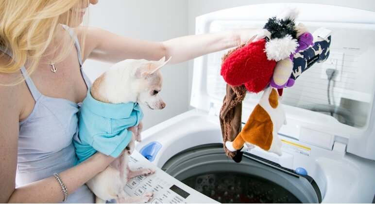 How to Safely Wash Dog Toys Using Your Washing Machine