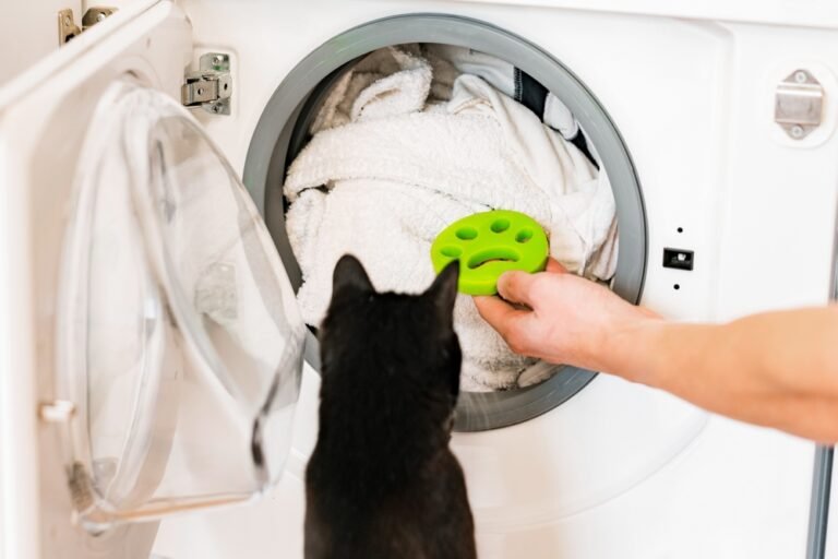 How To Clean Dog Hair From Washing Machine