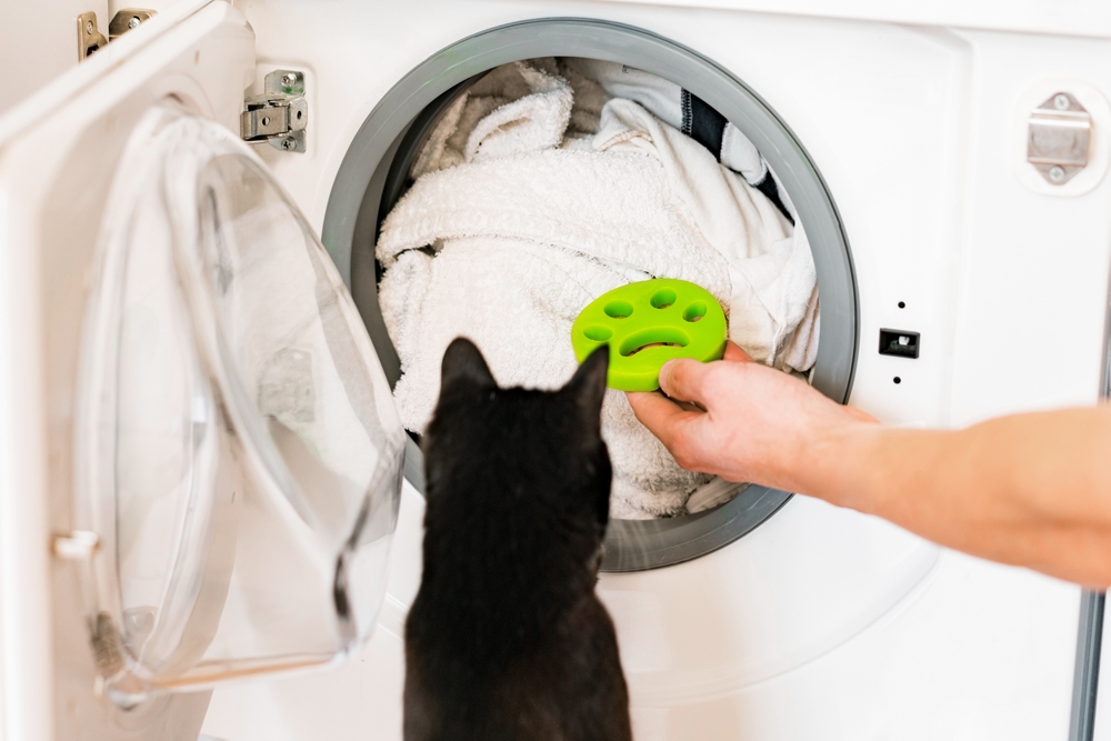 Step-by-Step Guide to Cleaning Dog Hair from Your Washer