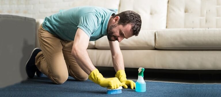 How To Steam Clean Carpet Without Machine