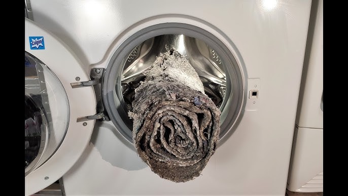 What You Need to Know About Washing Carpets at Home