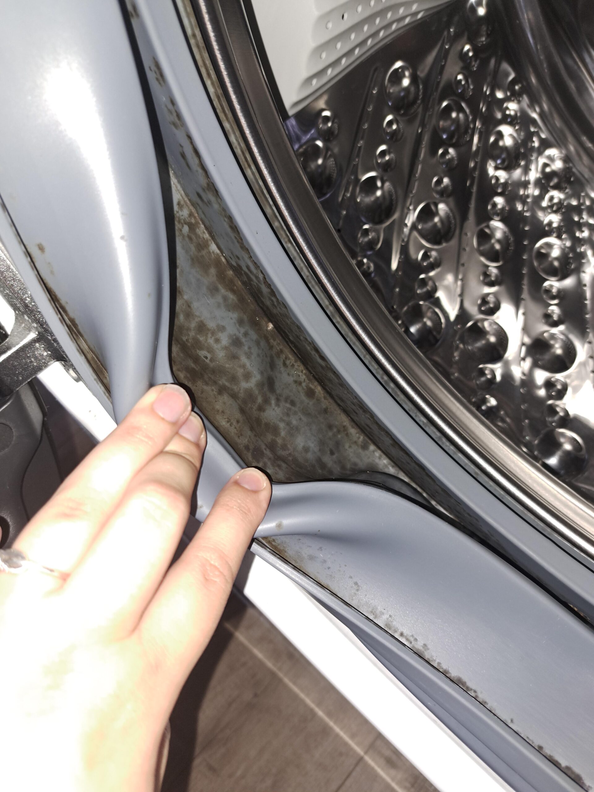 What You Must Know About Black Mould in Washing Machines