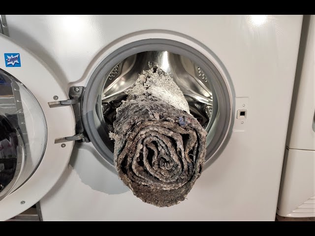 How to Properly Clean Carpets Using a Washing Machine