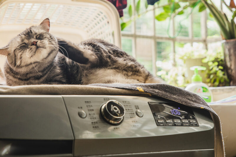 What Is The Quietest Washing Machine
