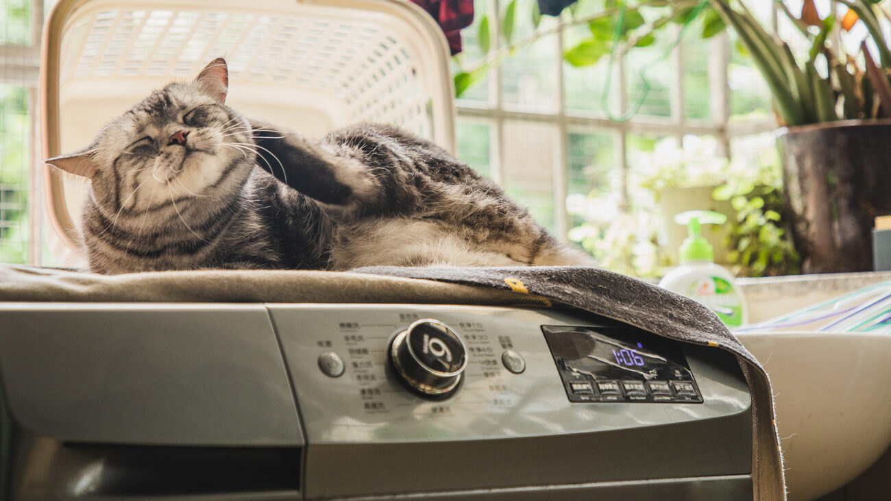 What Is The Quietest Washing Machine 1 N6vwnyAvhofyHdfzc4PCUo