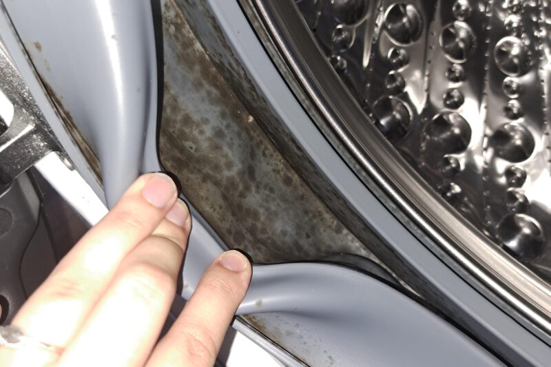 Is Black Mould In Washing Machine Dangerous